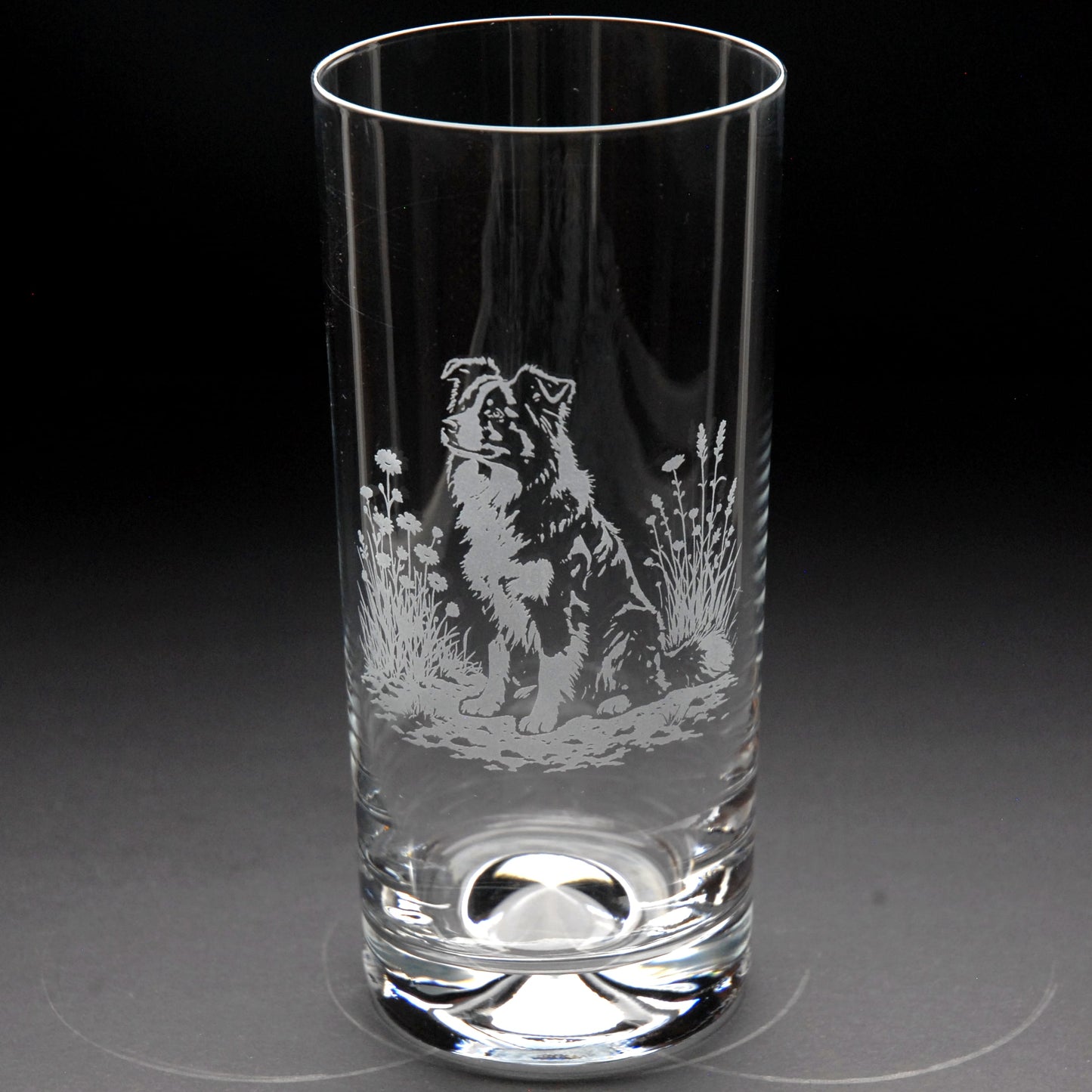 Border Collie Dog Highball Glass - Hand Etched/Engraved Gift