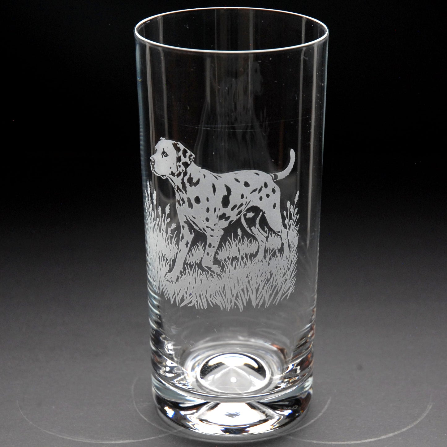 Dalmatian Dog Highball Glass - Hand Etched/Engraved Gift