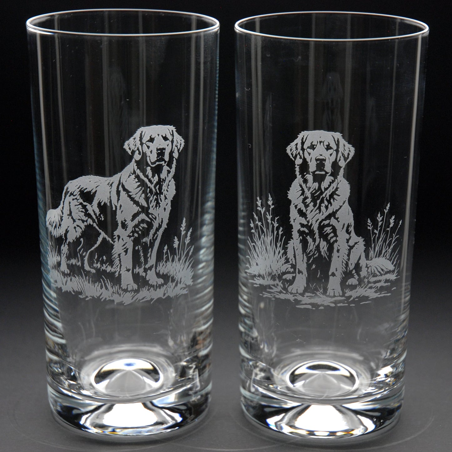 Golden Retriever Dog Highball Glass - Hand Etched/Engraved Gift