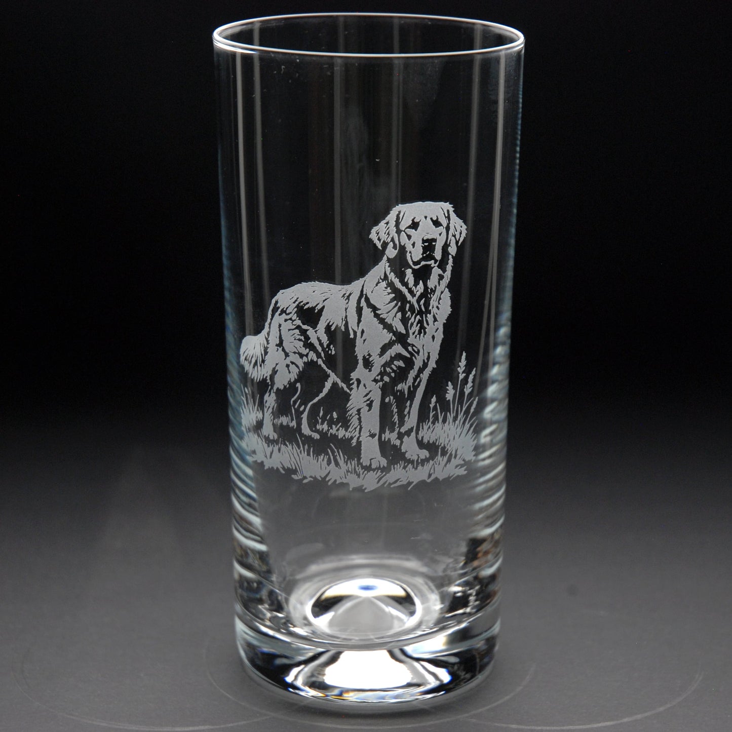 Golden Retriever Dog Highball Glass - Hand Etched/Engraved Gift