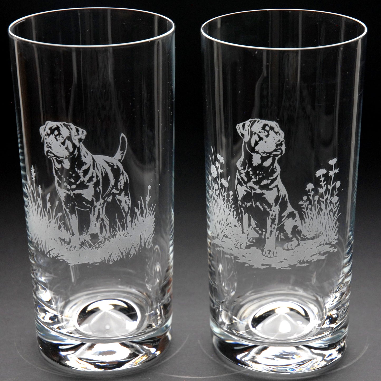 Rottweiler Dog Highball Glass - Hand Etched/Engraved Gift