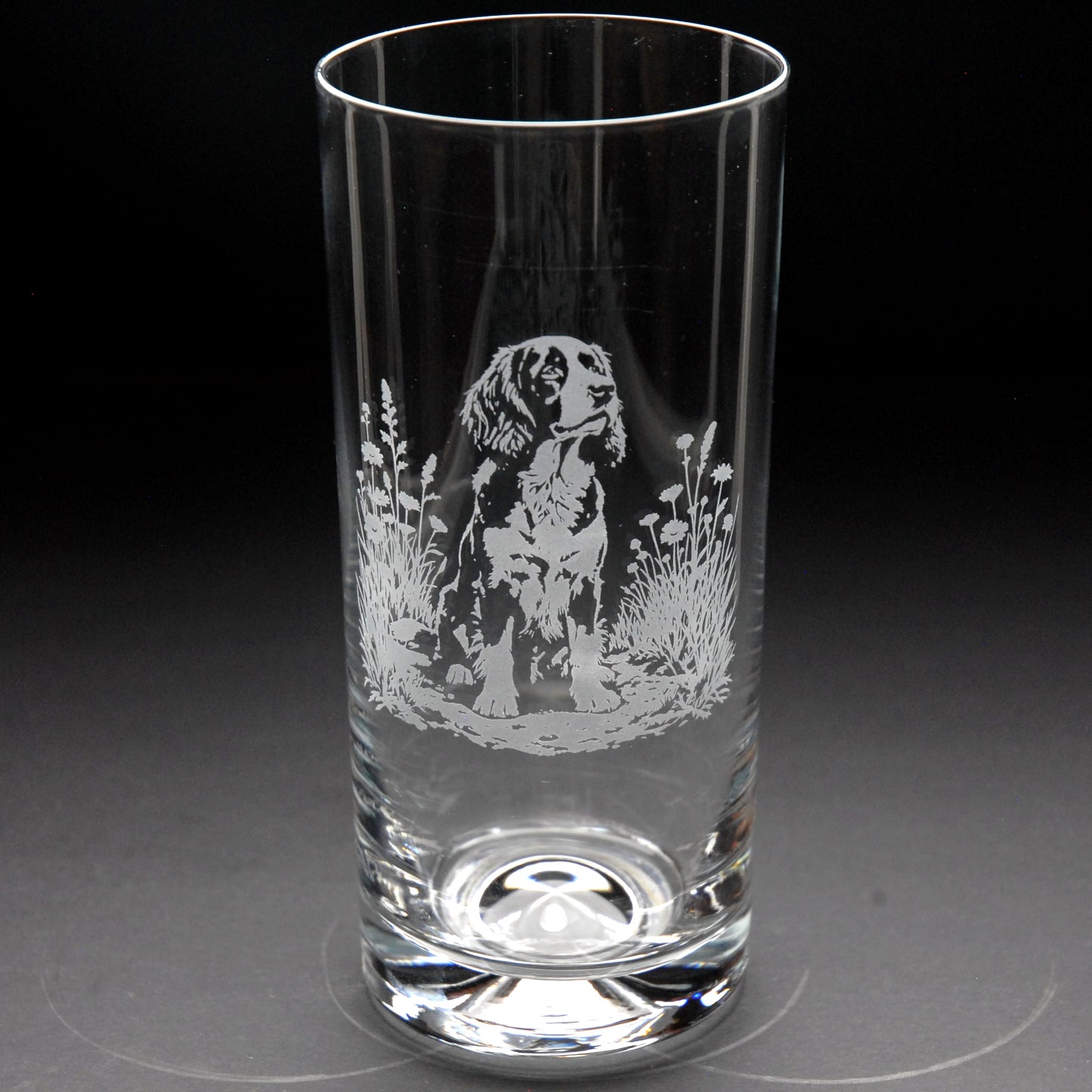 Springer Spaniel Dog Highball Glass - Hand Etched/Engraved Gift