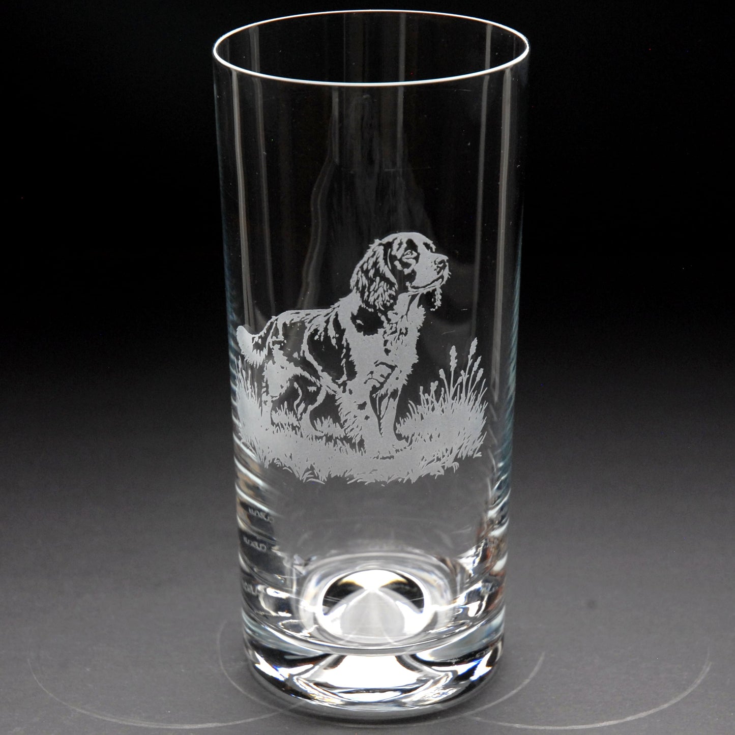 Springer Spaniel Dog Highball Glass - Hand Etched/Engraved Gift