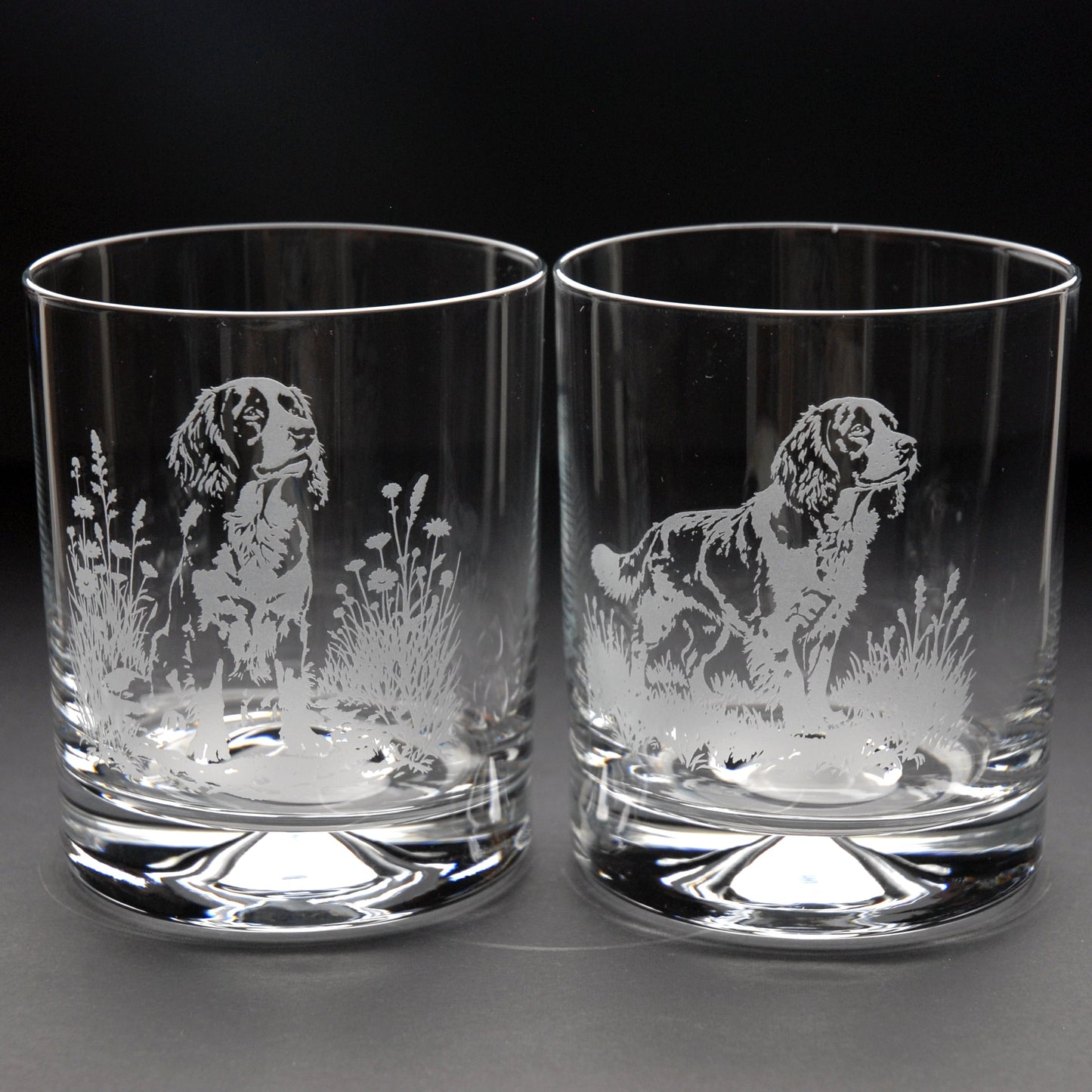 Springer Spaniel Dog Whiskey Tumbler Glass - Hand Etched/Engraved Gift