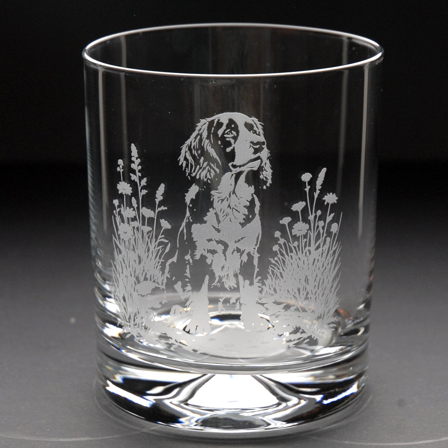 Springer Spaniel Dog Whiskey Tumbler Glass - Hand Etched/Engraved Gift