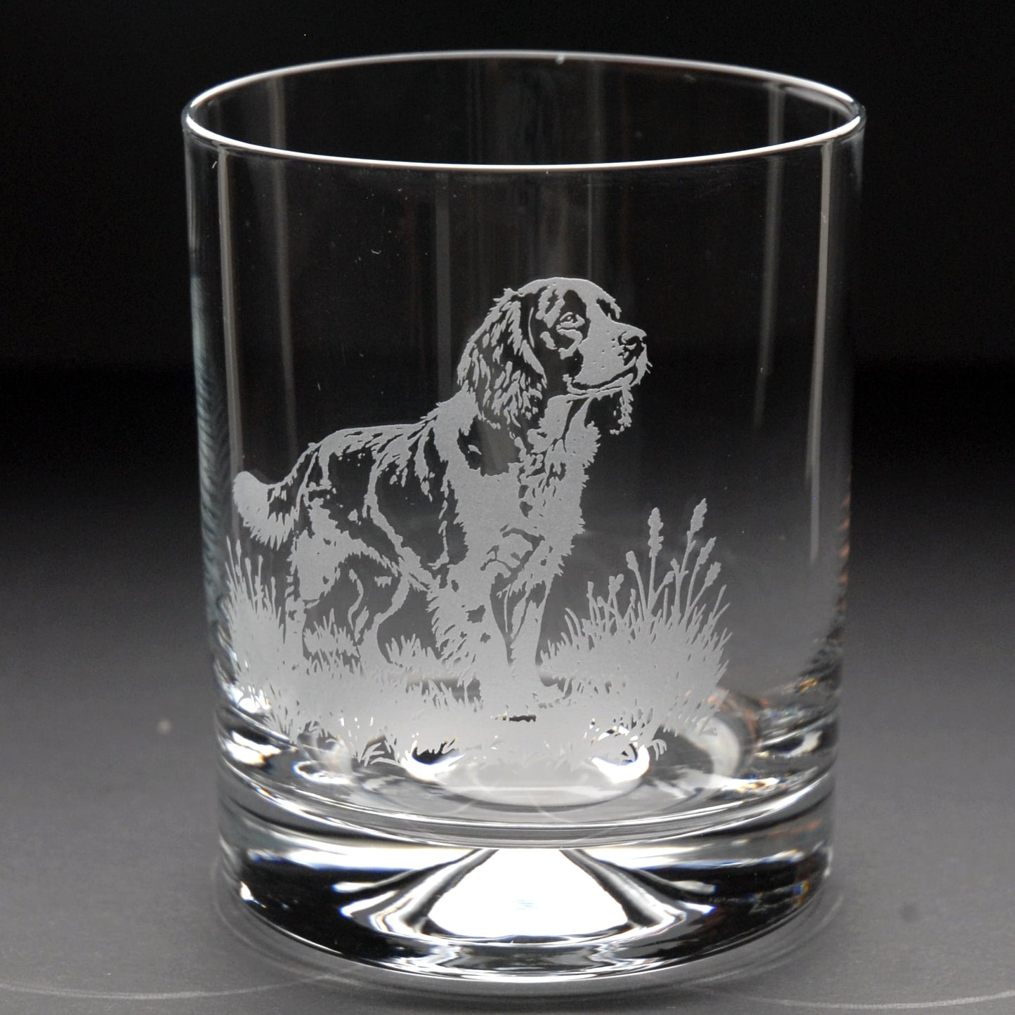 Springer Spaniel Dog Whiskey Tumbler Glass - Hand Etched/Engraved Gift