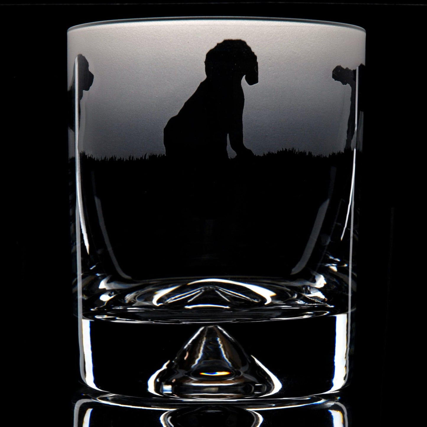Cockapoo Dog Whiskey Tumbler Glass - Hand Etched/Engraved Gift