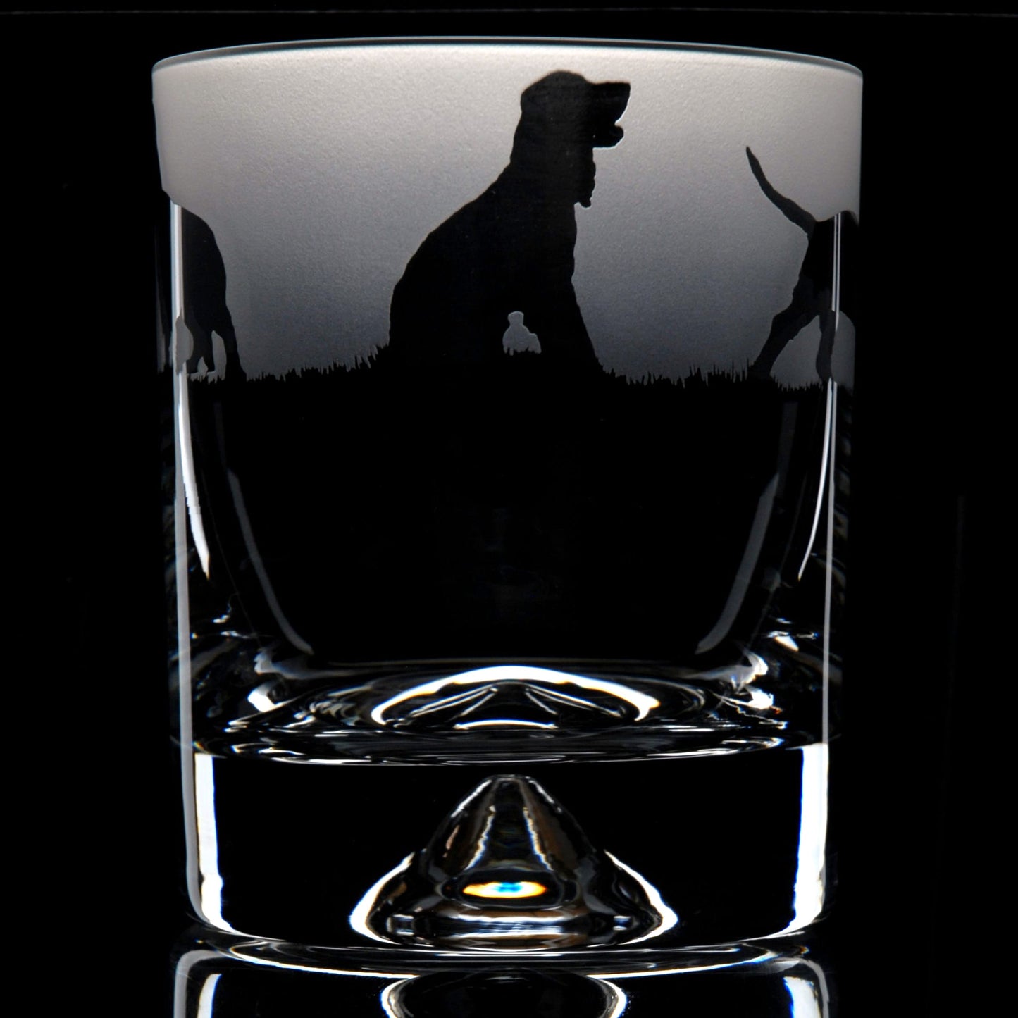 Cocker Spaniel Dog Whiskey Tumbler Glass - Hand Etched/Engraved Gift