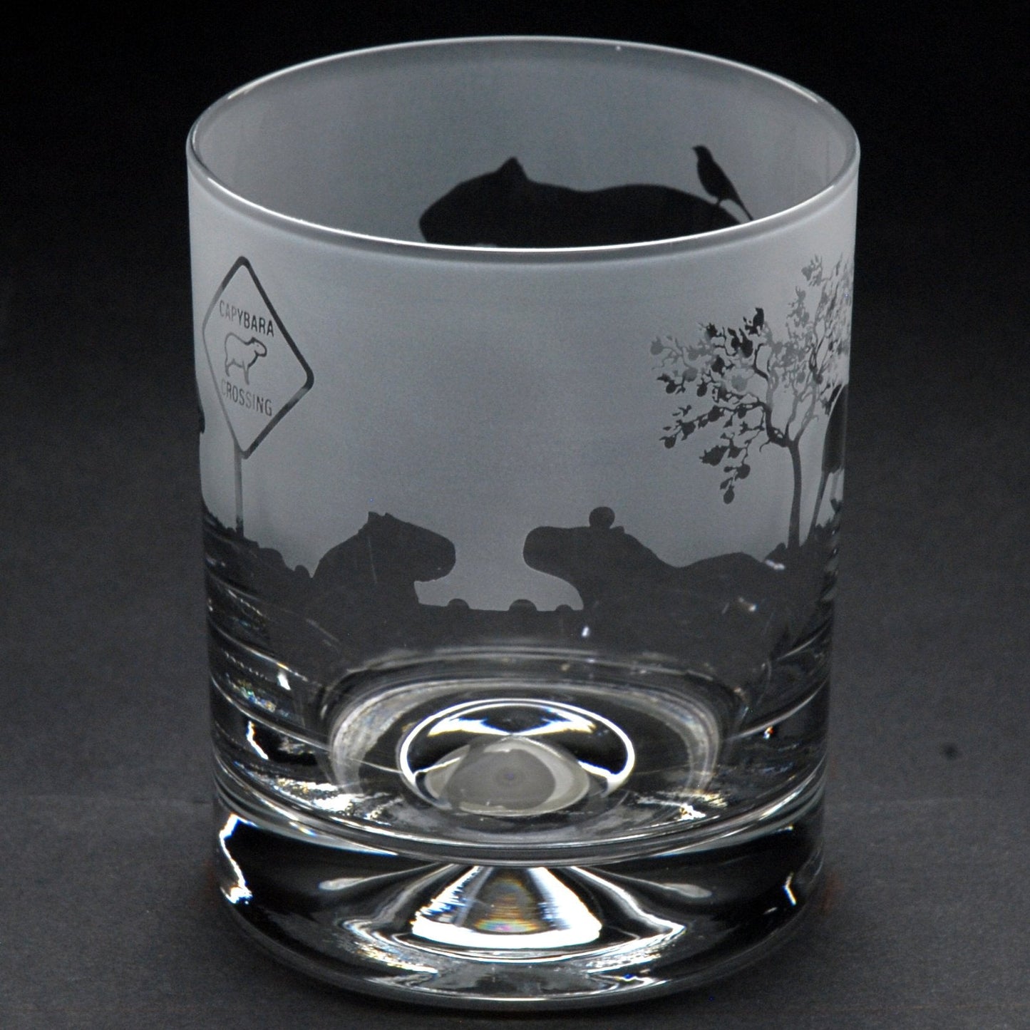 Capybara Whiskey Tumbler Glass - Hand Etched/Engraved Gift