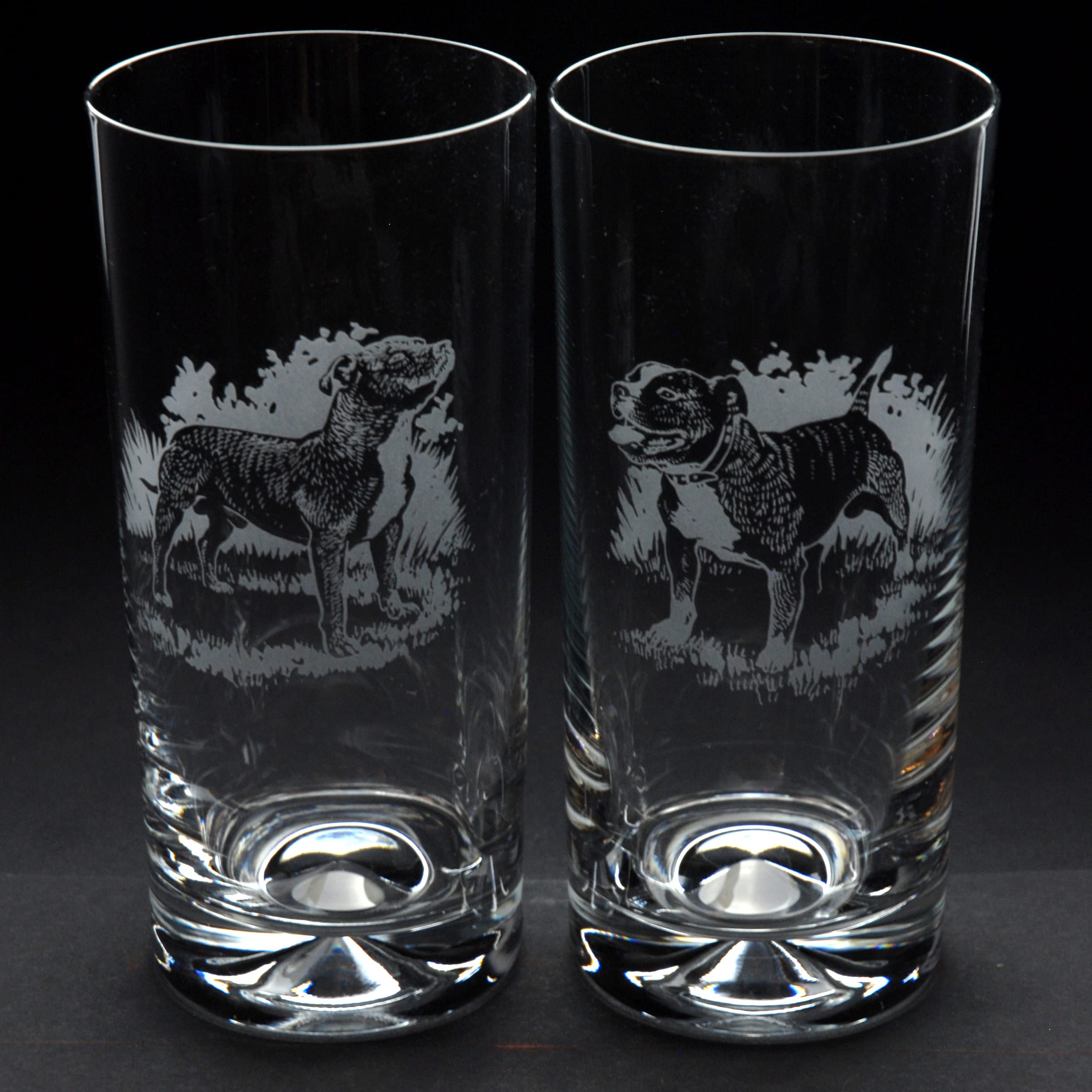Glyptic Glass Art Finnish Spitz Dog Highball Glass