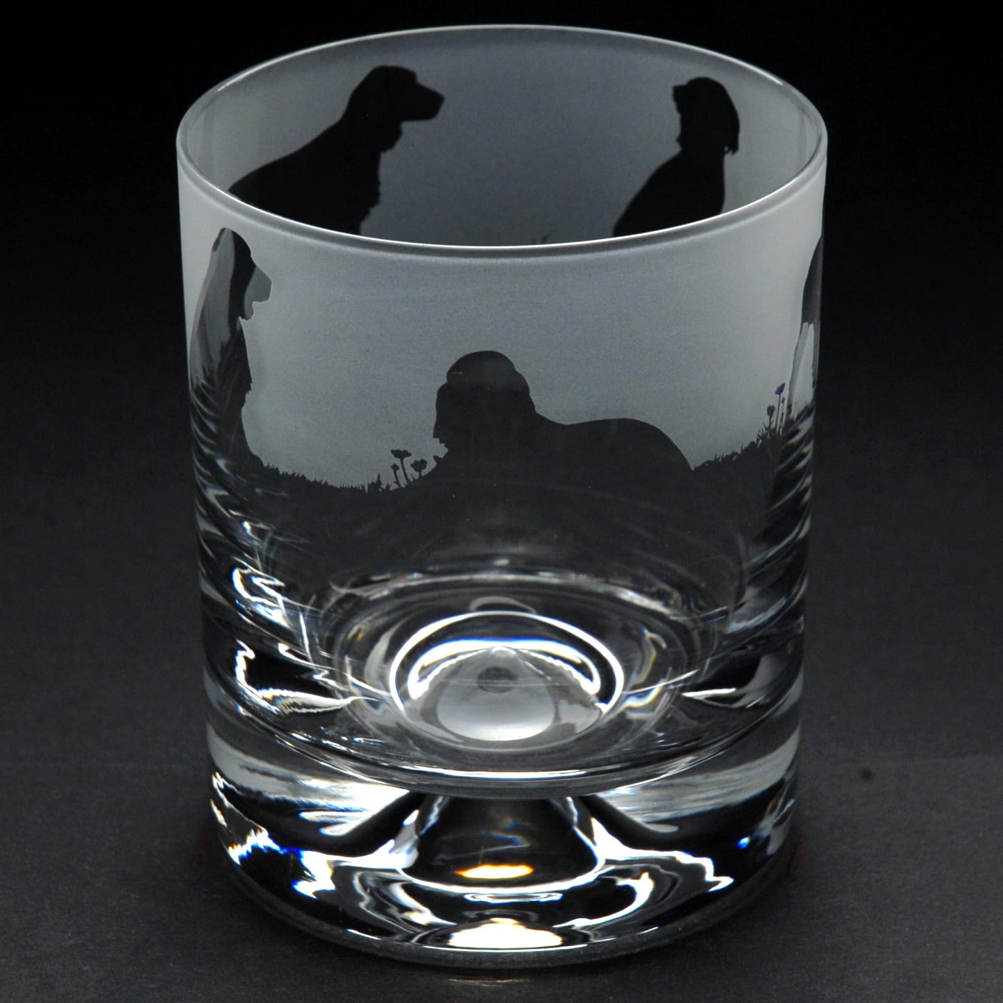 Springer Spaniel Dog Whiskey Tumbler Glass - Hand Etched/Engraved Gift