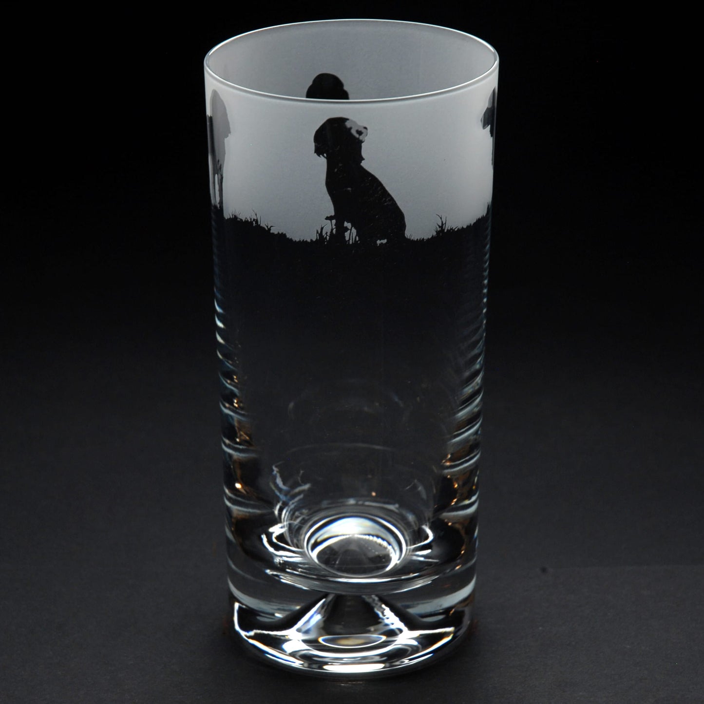 Springer Spaniel Dog Highball Glass - Hand Etched/Engraved Gift