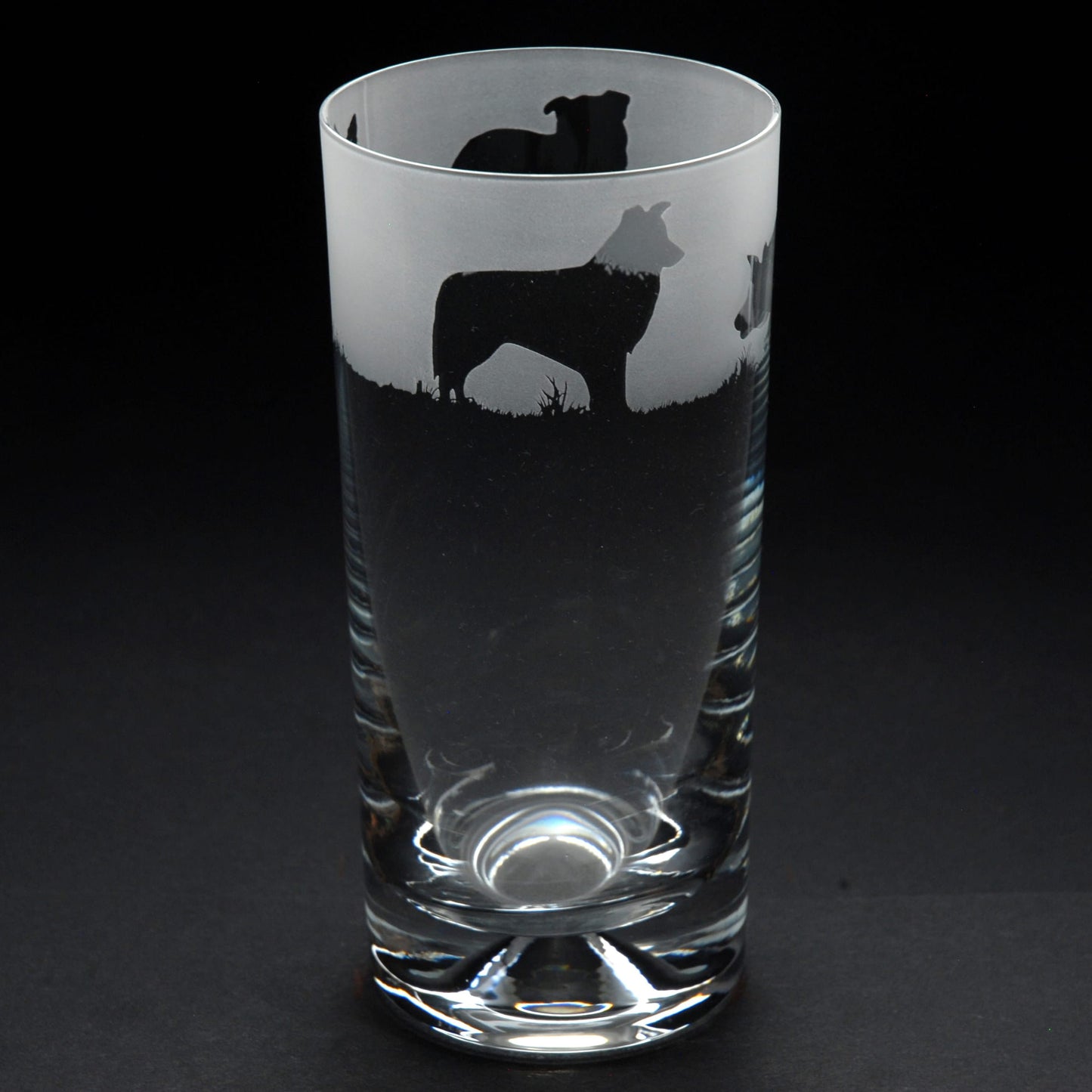 Border Collie Dog Highball Glass - Hand Etched/Engraved Gift