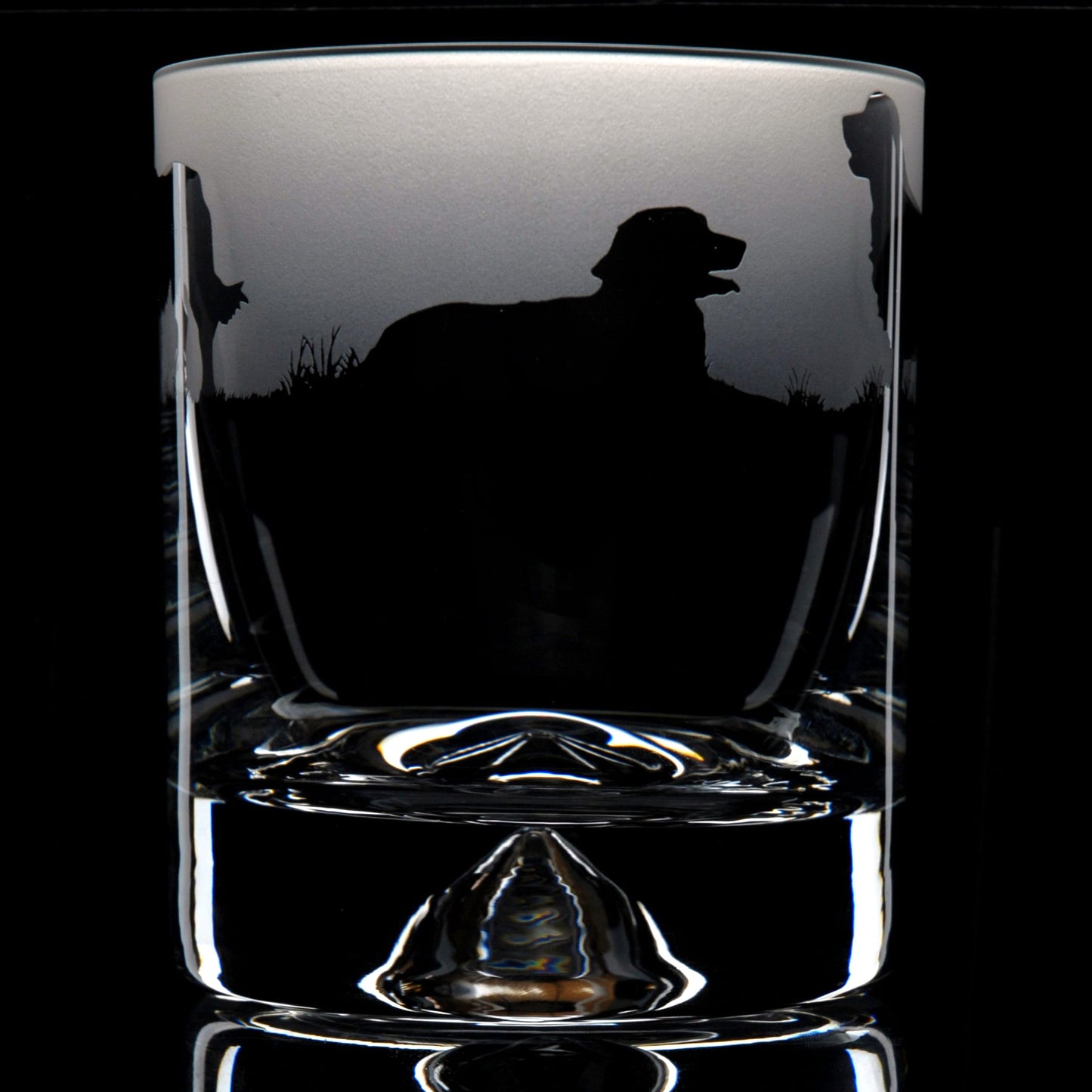 Golden Retriever Dog Whiskey Tumbler Glass - Hand Etched/Engraved Gift