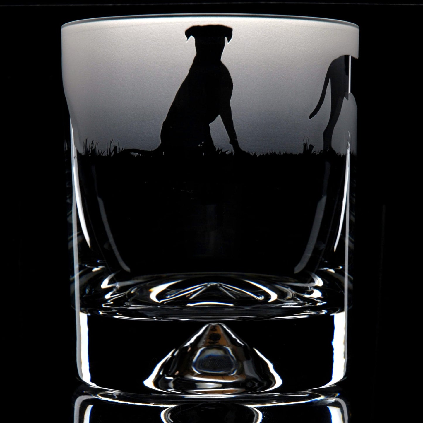 Boxer Dog Whiskey Tumbler Glass - Hand Etched/Engraved Gift