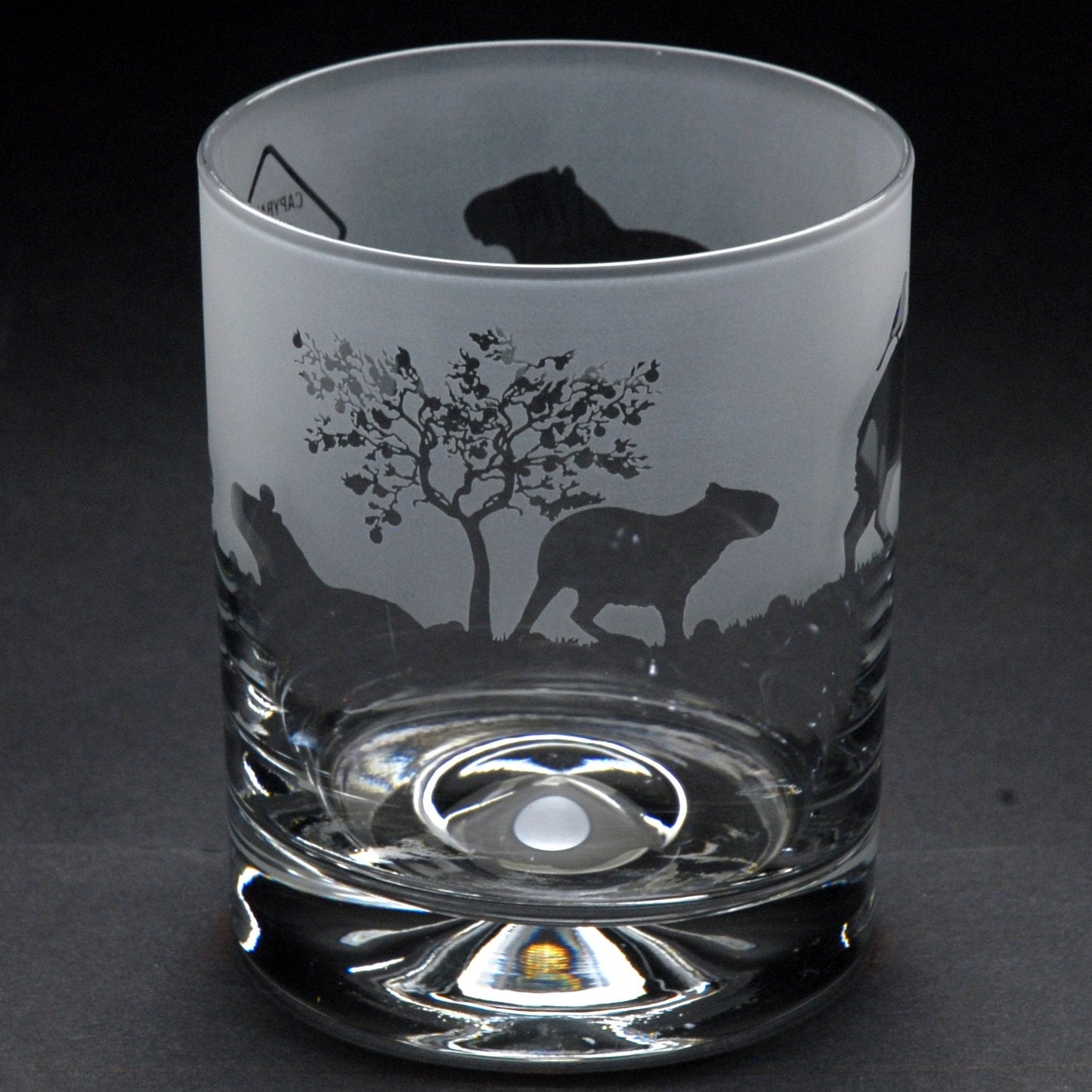 Capybara Whiskey Tumbler Glass - Hand Etched/Engraved Gift