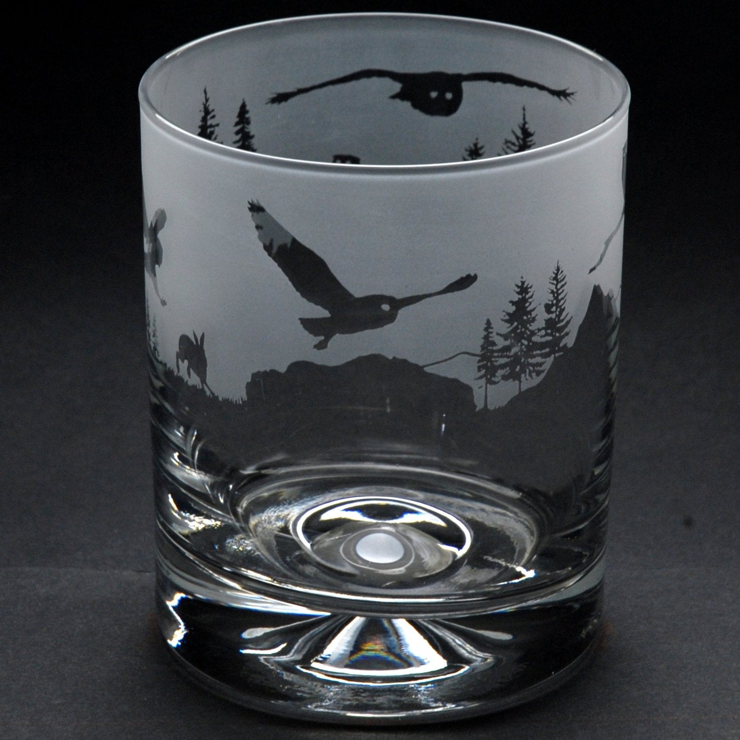 Owl Whiskey Tumbler Glass - Hand Etched/Engraved Gift