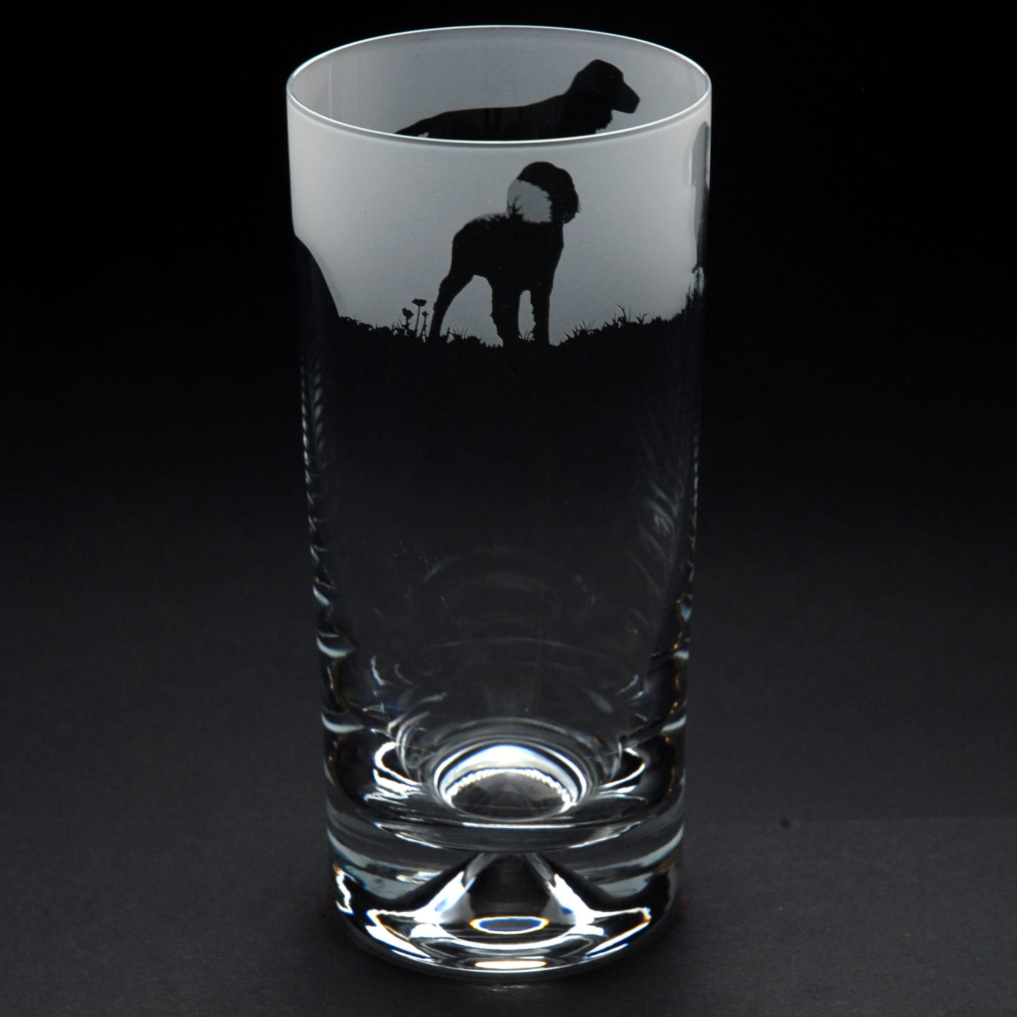 Springer Spaniel Dog Highball Glass - Hand Etched/Engraved Gift