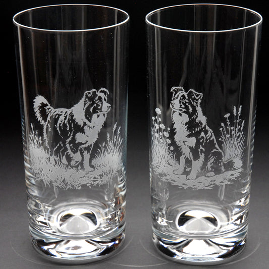 Border Collie Dog Highball Glass - Hand Etched/Engraved Gift