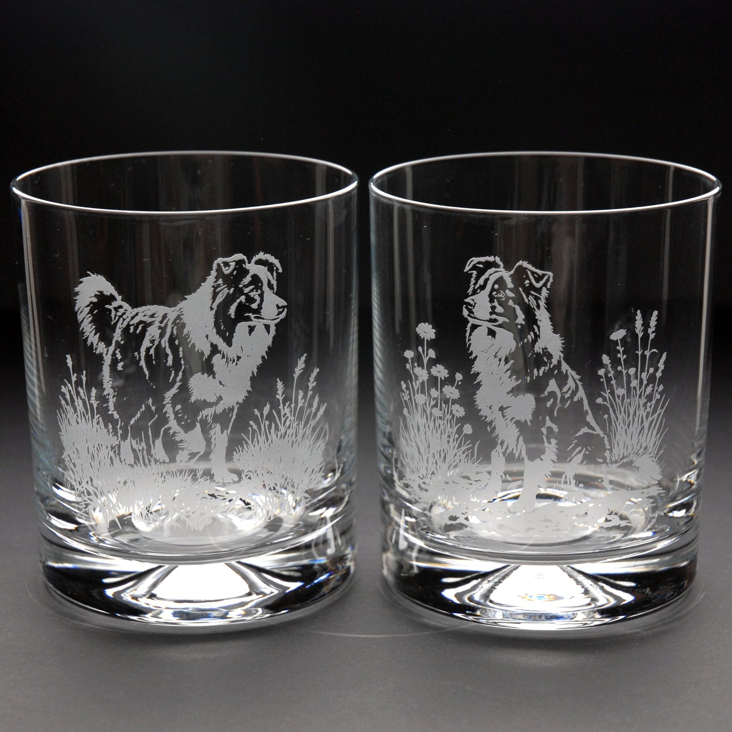 Border Collie Dog Whiskey Tumbler Glass - Hand Etched/Engraved Gift
