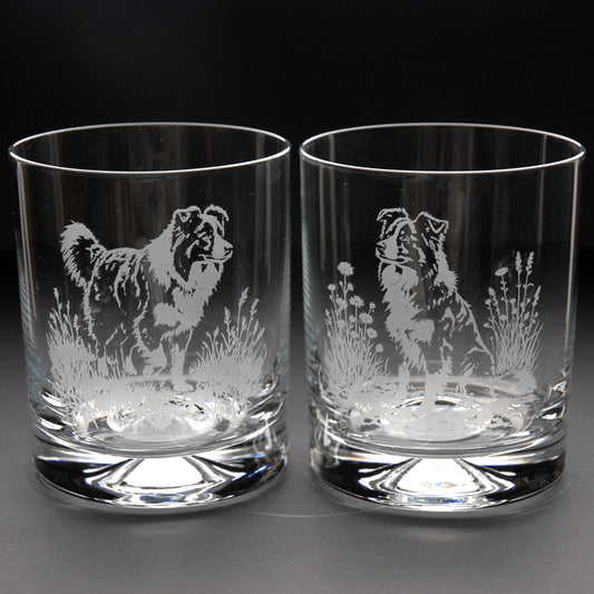 Border Collie Dog Whiskey Tumbler Glass - Hand Etched/Engraved Gift
