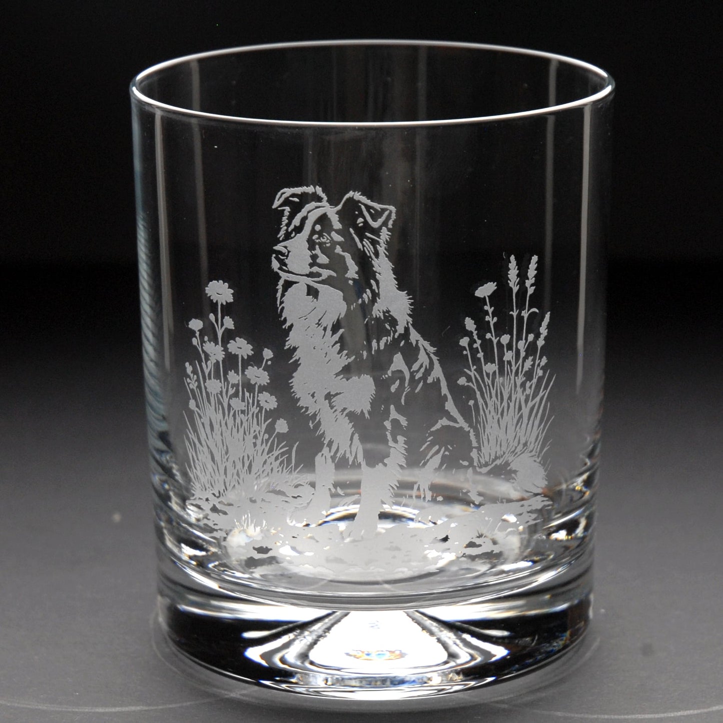 Border Collie Dog Whiskey Tumbler Glass - Hand Etched/Engraved Gift