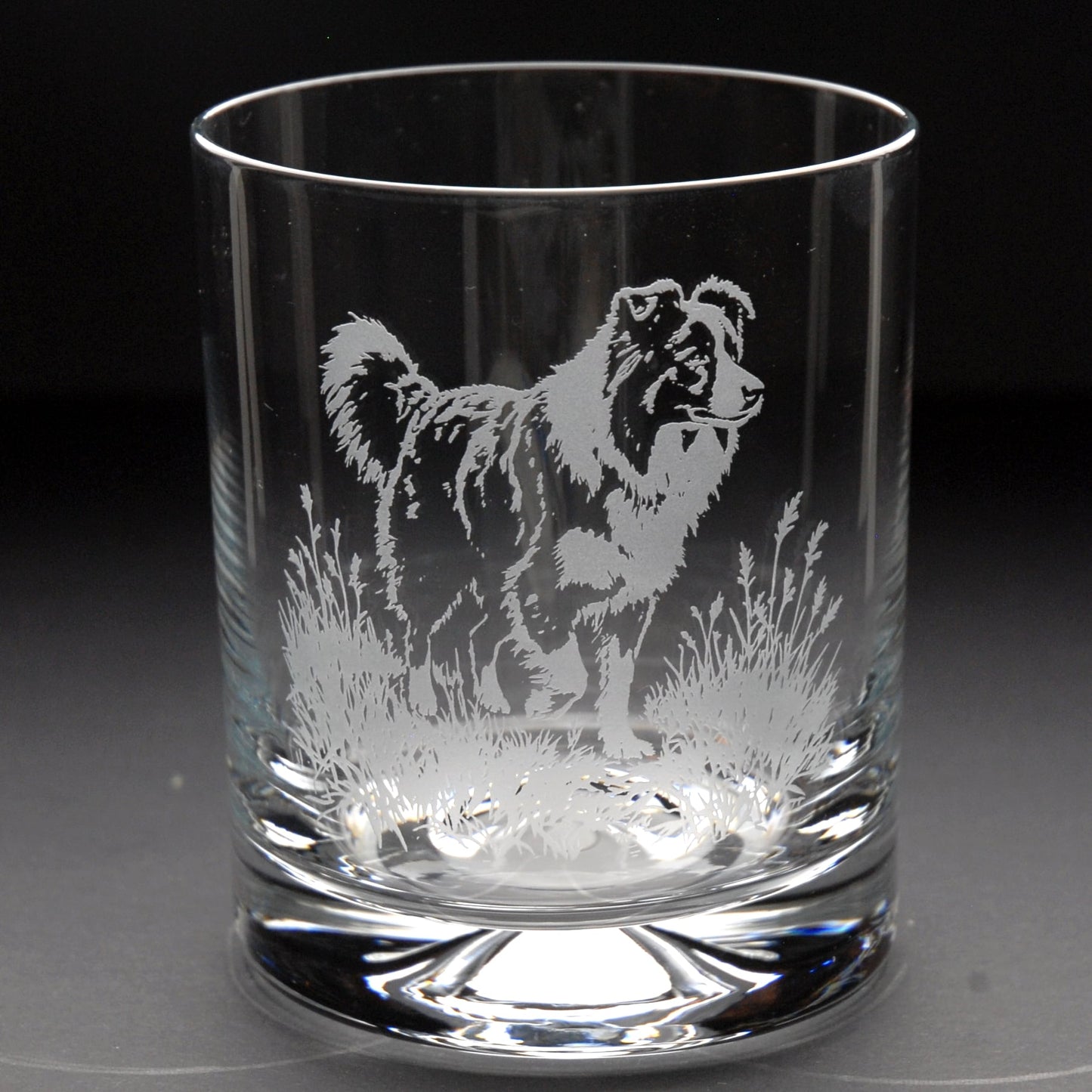 Border Collie Dog Whiskey Tumbler Glass - Hand Etched/Engraved Gift