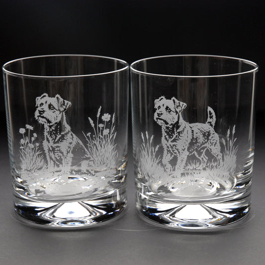 Border Terrier Dog Whiskey Tumbler Glass - Hand Etched/Engraved Gift