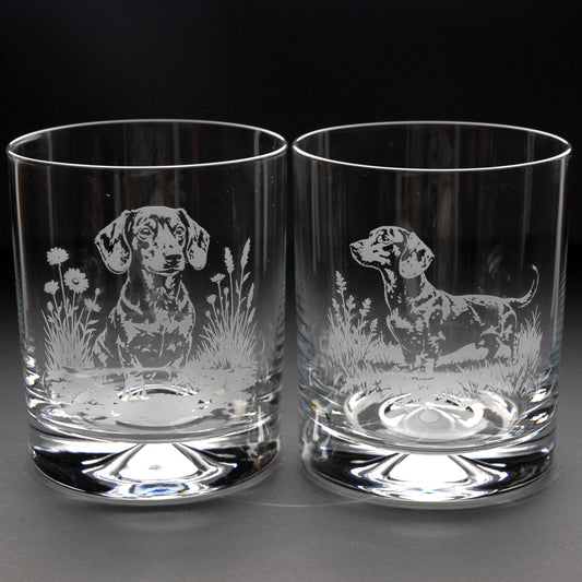 Dachshund Dog Whiskey Tumbler Glass - Hand Etched/Engraved Gift