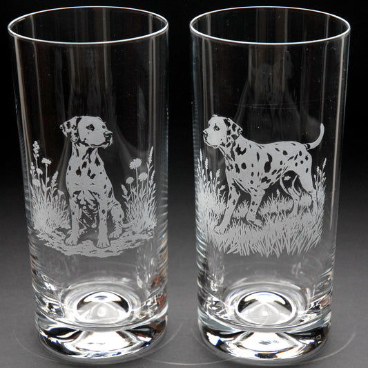Dalmatian Dog Highball Glass - Hand Etched/Engraved Gift