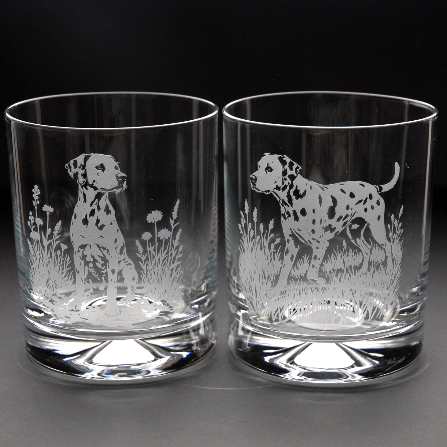 Dalmatian Dog Whiskey Tumbler Glass - Hand Etched/Engraved Gift
