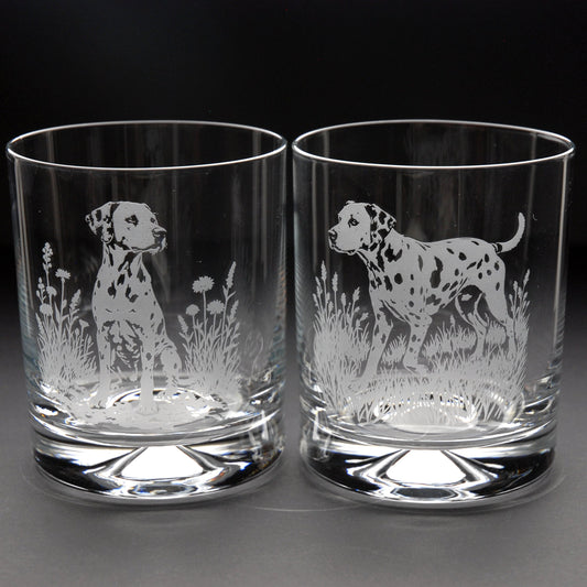 Dalmatian Dog Whiskey Tumbler Glass - Hand Etched/Engraved Gift