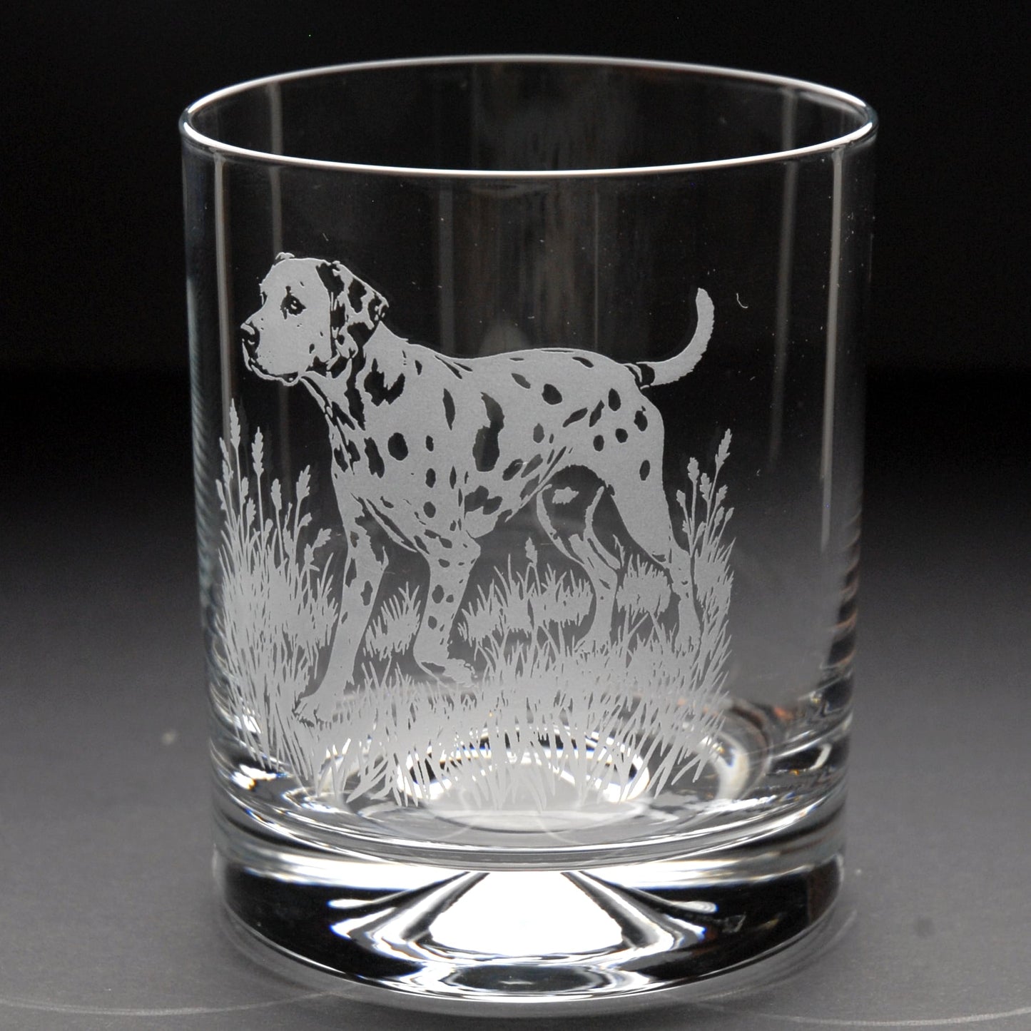 Dalmatian Dog Whiskey Tumbler Glass - Hand Etched/Engraved Gift
