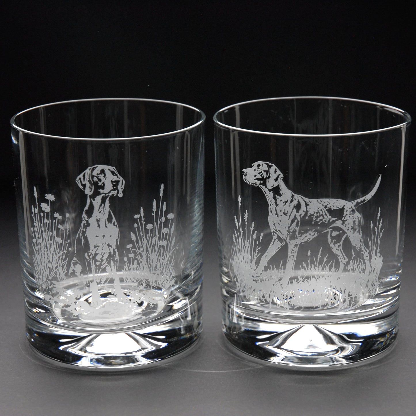 English Pointer Dog Whiskey Tumbler Glass - Hand Etched/Engraved Gift