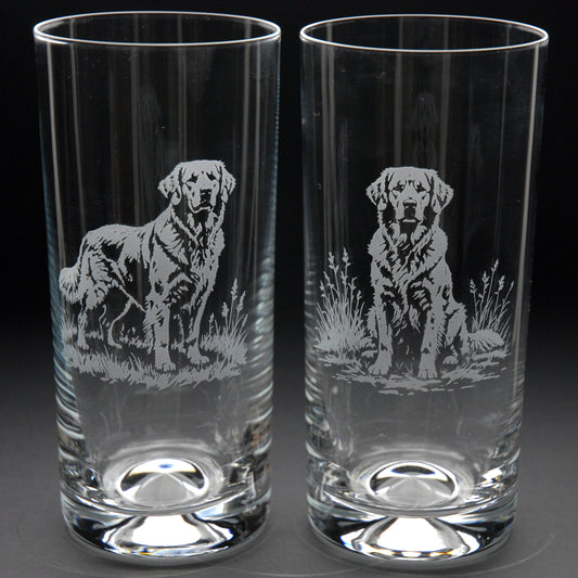 Golden Retriever Dog Highball Glass - Hand Etched/Engraved Gift