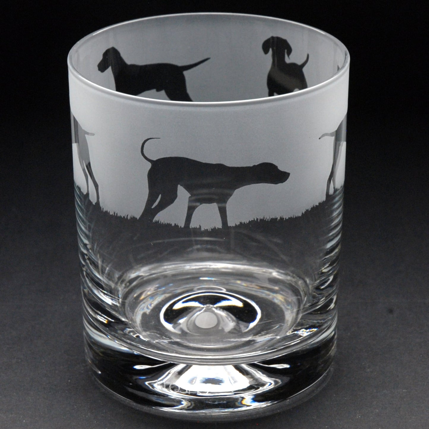 Hungarian Vizsla Dog Whiskey Tumbler Glass - Hand Etched/Engraved Gift