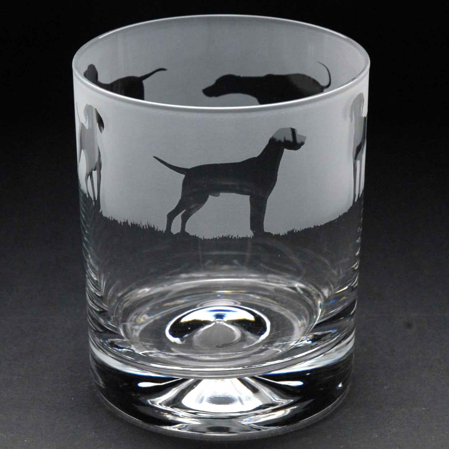 Hungarian Vizsla Dog Whiskey Tumbler Glass - Hand Etched/Engraved Gift