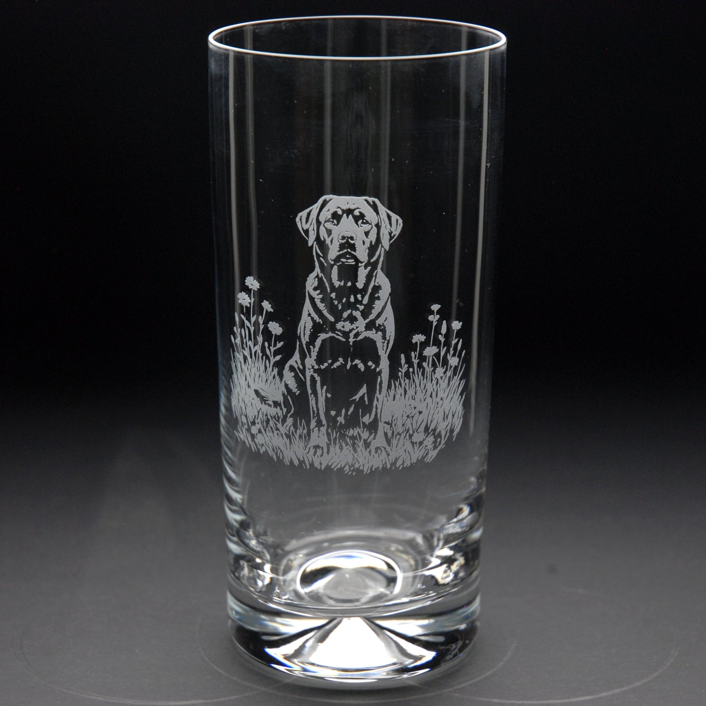 Labrador Dog Highball Glass - Hand Etched/Engraved Gift