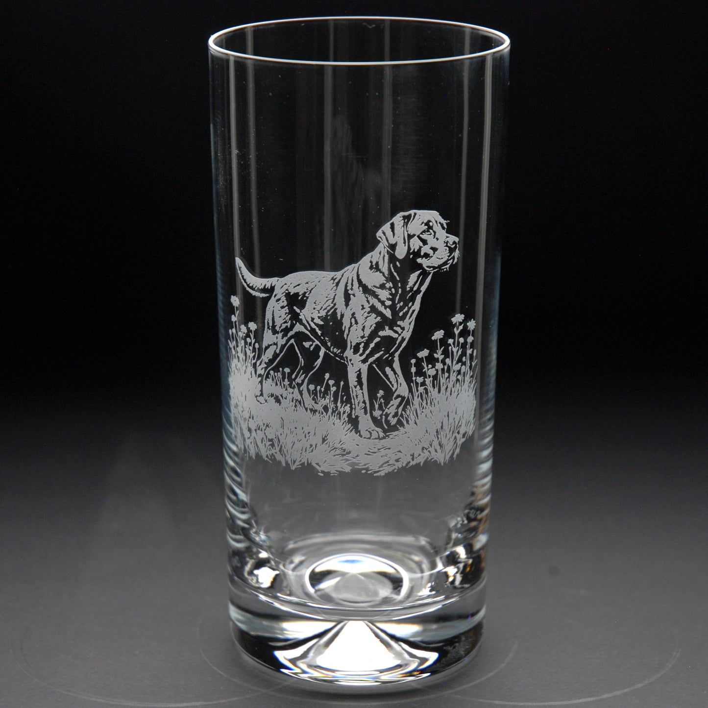 Labrador Dog Highball Glass - Hand Etched/Engraved Gift