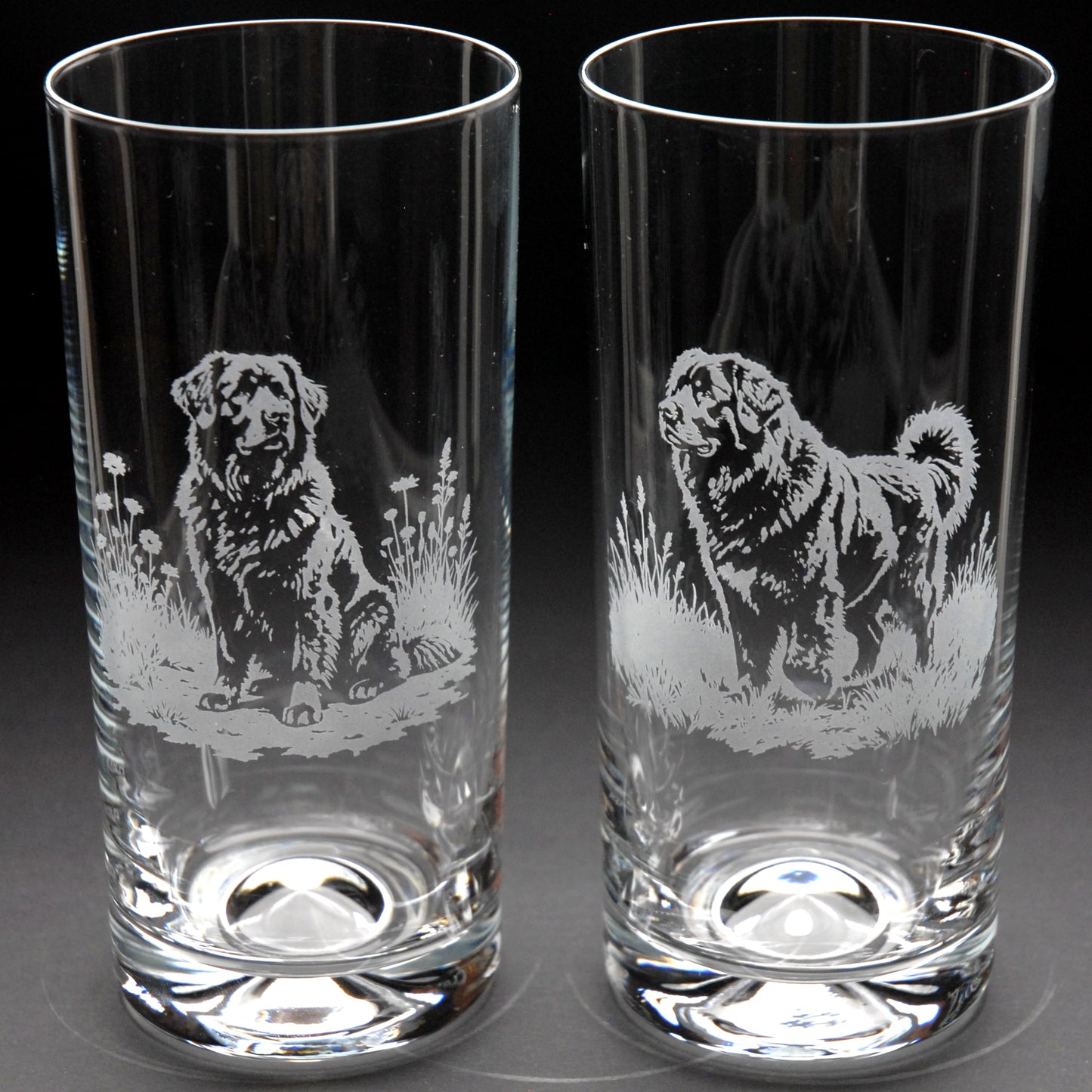 Newfoundland Dog Highball Glass - Hand Etched/Engraved Gift