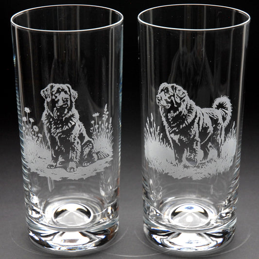 Newfoundland Dog Highball Glass - Hand Etched/Engraved Gift