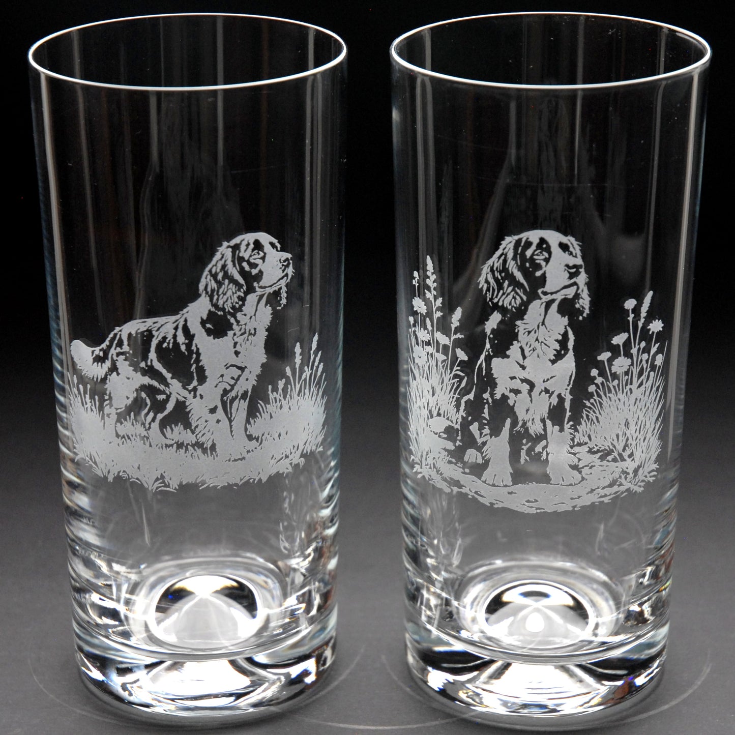 Springer Spaniel Dog Highball Glass - Hand Etched/Engraved Gift