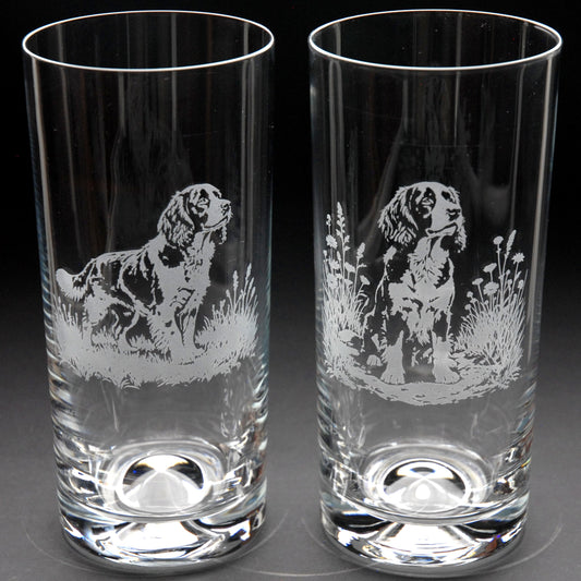 Springer Spaniel Dog Highball Glass - Hand Etched/Engraved Gift