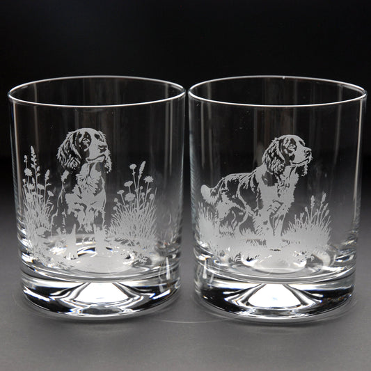 Springer Spaniel Dog Whiskey Tumbler Glass - Hand Etched/Engraved Gift