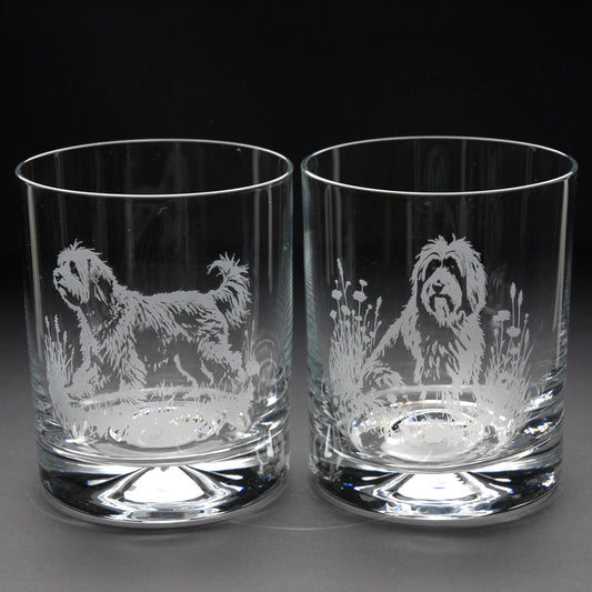 Tibetan Terrier Dog Whiskey Tumbler Glass - Hand Etched/Engraved Gift