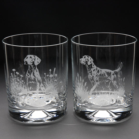 Weimaraner Dog Whiskey Tumbler Glass - Hand Etched/Engraved Gift
