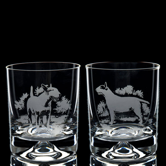 Bull Terrier Dog Whiskey Tumbler Glass - Hand Etched/Engraved Gift