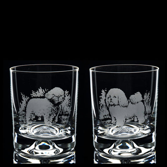 Bichon Frise Dog Whiskey Tumbler Glass - Hand Etched/Engraved Gift