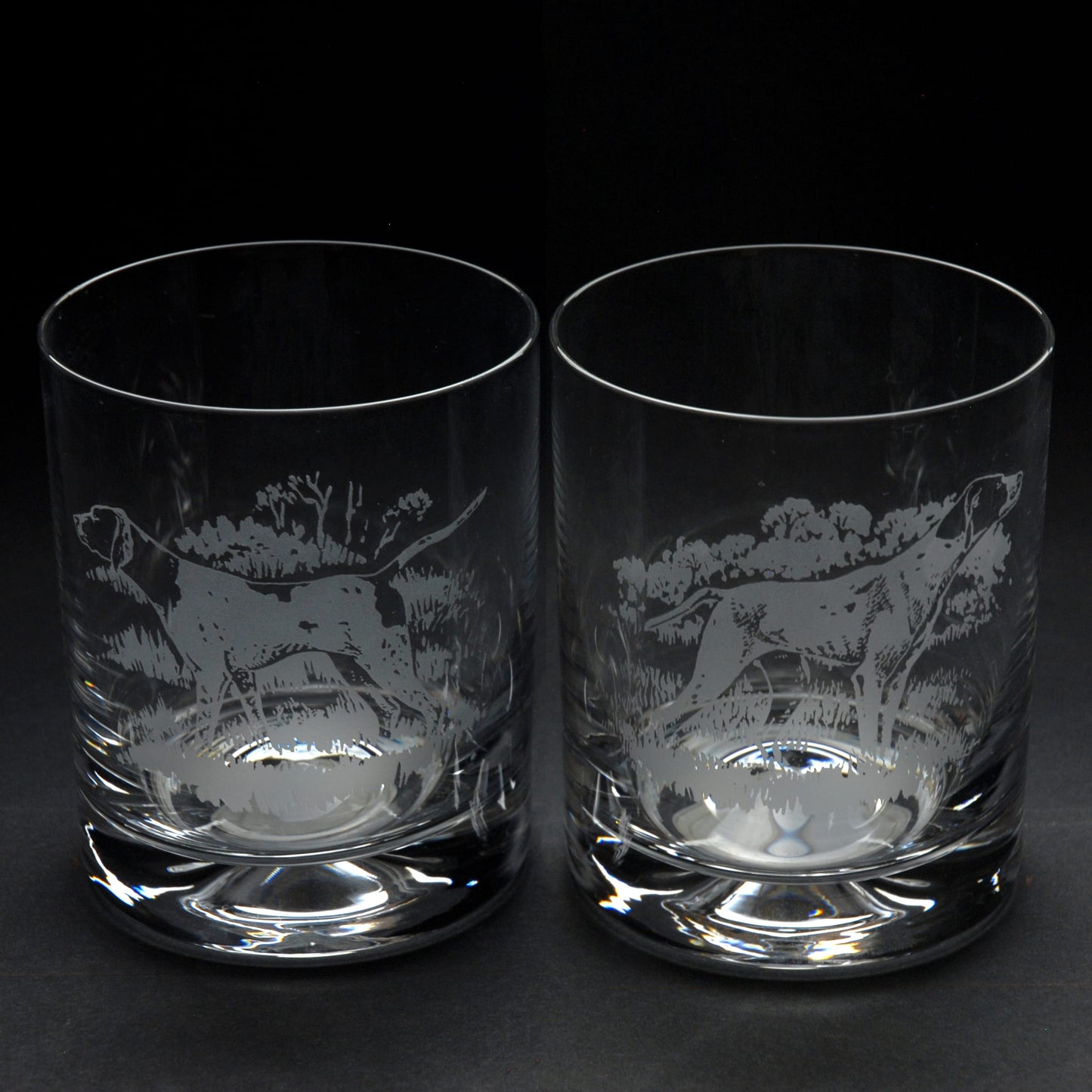 English Pointer Dog Whiskey Tumbler Glass - Hand Etched/Engraved Gift