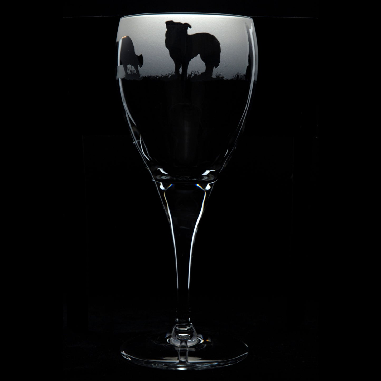 Border Collie Dog Crystal Wine Glass - Hand Etched/Engraved Gift